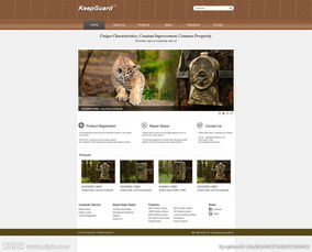 网站设计PSD素材全攻略 从专题解析到信息系统集成应用